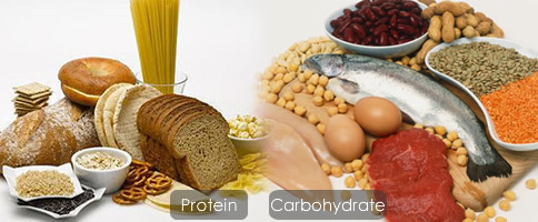 Carbs and Proteins 1